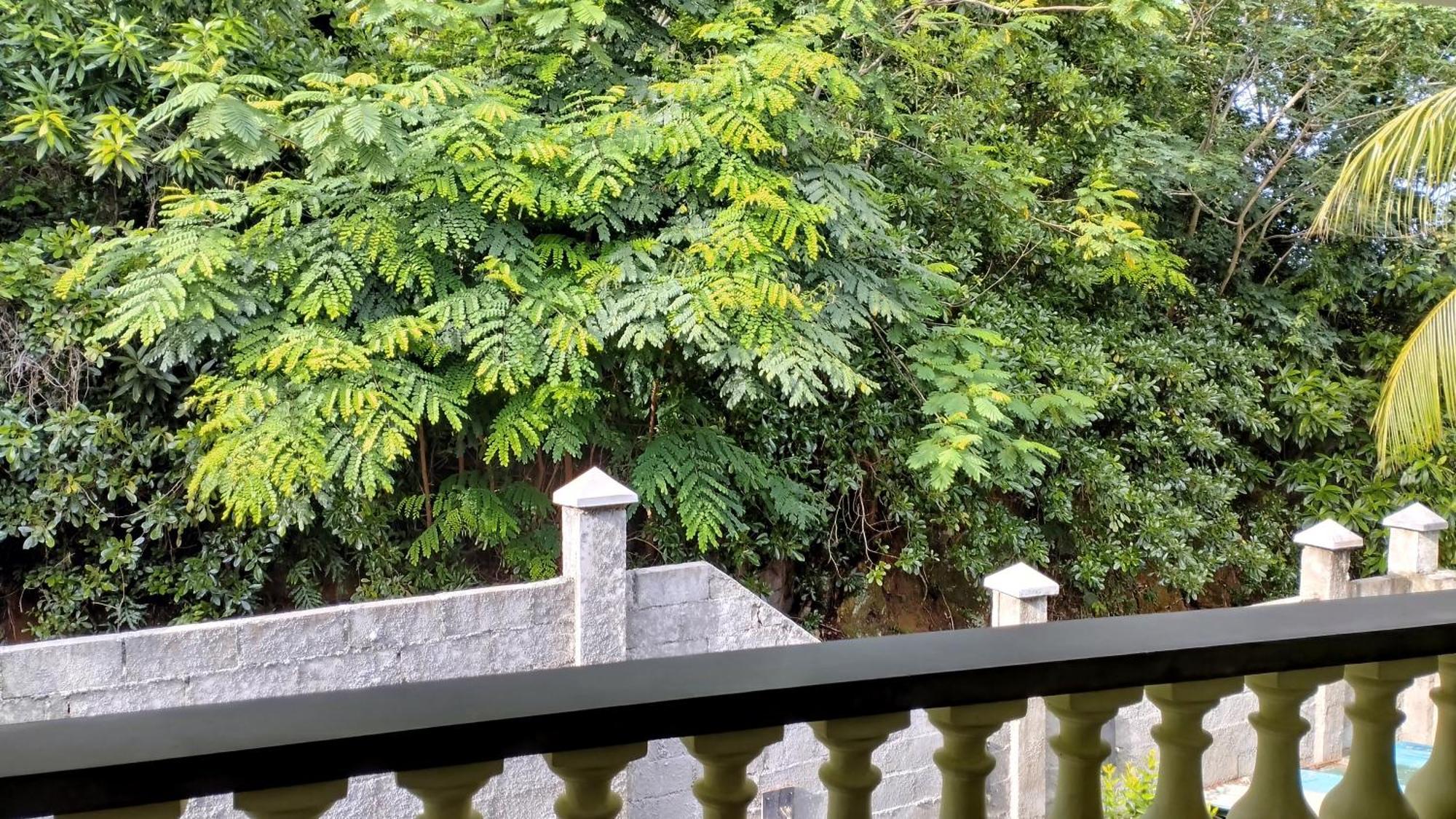 Dovass Self Catering Apartments Такамака Номер фото